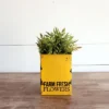 Distressed Yellow "Farm Fresh" Decorative Metal Planter Storage Tin - Foreside Home & Garden 1 Distressed Yellow "Farm Fresh" Decorative Metal Planter Storage Tin - Foreside Home & Garden -Home Improvement Store GUEST 9dbdbb4d aff5 4589 945d 67084e2c5cb1