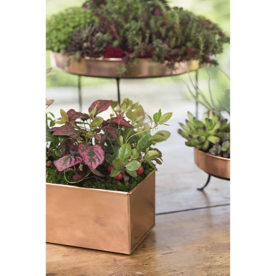 Gardener's Supply Company Tall Rectangular Copper Plant Tray | 18" X 5" X 4" For Plant Flower Succulent Display 5 Gardener's Supply Company Tall Rectangular Copper Plant Tray | 18" X 5" X 4" For Plant Flower Succulent Display - Image 3