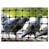 100'x14' Standard Bird Netting - Bird-X -Home Improvement Store GUEST a7c37092 a696 4d5f b15f fe91818d6eff