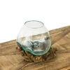 Evergreen Glass Planter On Driftwood -Home Improvement Store GUEST a882a762 2e3a 4b2a 83c1 60f6acd8c2c1