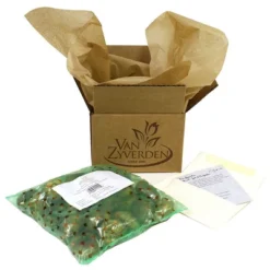 Daffodils Gardening With Children Mixture Set Of 25 Bulbs - Van Zyverden -Home Improvement Store GUEST ab06bda9 2e01 4985 b34e 0e901f8d344a