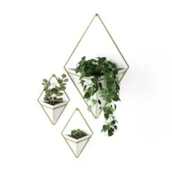 Trigg Wall Display Planter White/Brass - Umbra -Home Improvement Store GUEST ac7431c0 d509 4b13 81f3 10a87c265cdb