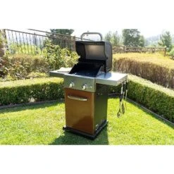 Permasteel 2-Burner Gas Grill With Foldable Side Tables -Home Improvement Store GUEST b1790636 3d19 46cc b3e5 edeecb59716d