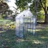 Sunnydaze Decor Sunnydaze Outdoor Portable Tiered Growing Rack Deluxe Walk-In Greenhouse With Roll-Up Door - 4 Shelves - Clear - 54" X 28" X 77" 1 Sunnydaze Decor Sunnydaze Outdoor Portable Tiered Growing Rack Deluxe Walk-In Greenhouse With Roll-Up Door - 4 Shelves - Clear - 54" X 28" X 77" -Home Improvement Store GUEST b1dfd91d 902e 405b a272 5a48bc01b2c6