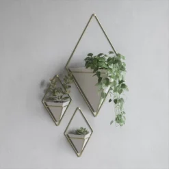 Trigg Wall Display Planter White/Brass - Umbra -Home Improvement Store GUEST b20bf155 85f4 4a2d af1f 61cd091c4bf5