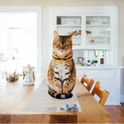 Homarden Deterrent Shock Pads To Keep Pets Off The Couch - White -Home Improvement Store GUEST b3865ff8 63bc 4ce3 aed0 a6bb5057e8a6