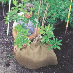 DeWitt NAT4300 4 X 300 Ft All Natural Organic Biodegradable Paper Mulch Garden Weed Control Barrier -Home Improvement Store GUEST b442a65b acf5 4154 a557 05faf91953c2