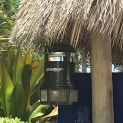 Dynatrap DT2000XL Full Acre Corded All Weather Mosquito And Flying Insects Trap -Home Improvement Store GUEST b6ee4638 7b11 454f b717 d7d6160442ec