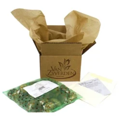 25ct Paperwhites Bulbs - Van Zyverden -Home Improvement Store GUEST bc77edb8 ae2e 4f65 80b4 613a97ad577f 1