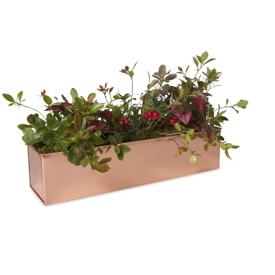 Gardener's Supply Company Tall Rectangular Copper Plant Tray | 18" X 5" X 4" For Plant Flower Succulent Display 3 Gardener's Supply Company Tall Rectangular Copper Plant Tray | 18" X 5" X 4" For Plant Flower Succulent Display