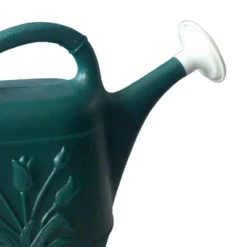 Union Products 63065 Indoor Outdoor 2 Gallon Plastic Plant Watering Can W/ Tulip Design And 2 Handles For Garden, Potted Plants, And Patio Pots, Green -Home Improvement Store GUEST c2c77344 f746 4f71 8ac8 e3cf055cd22d