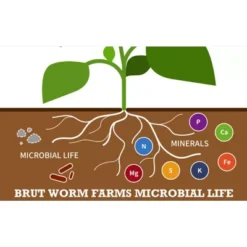 Brut Worm Farms All Organic Fertilizer Worm Castings Filled With Nutrients And Minerals For A Variety Of Indoor And Outdoor Plants, 30 Pounds (2 Pack) 7 Brut Worm Farms All Organic Fertilizer Worm Castings Filled With Nutrients And Minerals For A Variety Of Indoor And Outdoor Plants, 30 Pounds (2 Pack) -Home Improvement Store GUEST c5ae6098 fe14 45f4 9a92 da8a7237698f