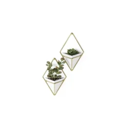 Set Of 2 Trigg Wall Display Planters White/Brass - Umbra -Home Improvement Store GUEST c948314a 8450 4cd0 b4c9 6a3c03e8e9fd