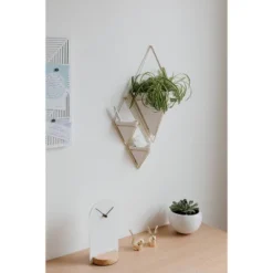 Set Of 2 Trigg Wall Display Planters White/Brass - Umbra -Home Improvement Store GUEST cb2a6337 4dc3 448e 8a04 477028c17de2