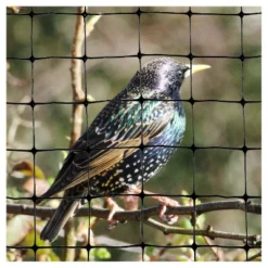 100'x14' Standard Bird Netting - Bird-X -Home Improvement Store GUEST ccd1100d ffba 4069 8e6f ec685ee84616