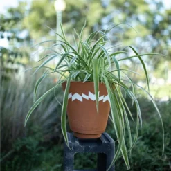 Multi Terracotta Planter - Foreside Home & Garden -Home Improvement Store GUEST ce0e341c 8c21 44d0 acd0 ef5469545df7