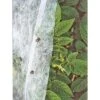 Gardener's Supply Co. Summer Weight Garden Fabric 6' X 50' -Home Improvement Store GUEST d225822e bda5 4f7b 9858 7b0c319d9026