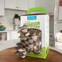 Back To The Roots Organic Mushroom Mini Grow Kit Pearl Oyster -Home Improvement Store GUEST d41a15b1 0f74 4e2a 8636 248827b81668
