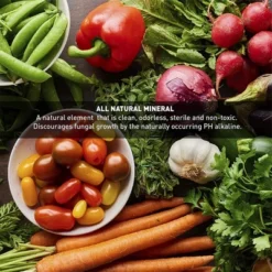 Palmetto 18 Pound Organic Grade 3 Coarse Vermiculite Planting Soil Additive For Greenhouse Gardening, Hydroponic, And Landscaping, 4 Cubic Feet -Home Improvement Store GUEST d9e87eba 480d 4d76 a909 a8ce208be727