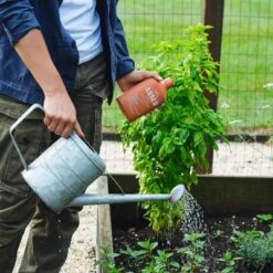 Arber 8oz Organic Plant Food Concentrate -Home Improvement Store GUEST dd8c2696 839e 4b9a bb22 efbe7d263a1c