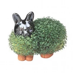Joseph Enterprises, Inc Chia Pet Grass Planter: Bunny