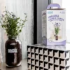Back To The Roots Organic Lavender Grow Kit -Home Improvement Store GUEST df204d46 2d0c 4a8b 879f 9e028abe9c64
