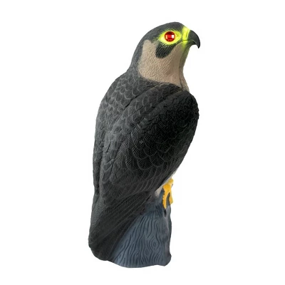 2pk 16" Falcon Decoy - Bird-X 4 2pk 16" Falcon Decoy - Bird-X - Image 2