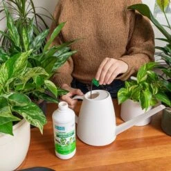 Back To The Roots All Purpose Plant Food 1.5lb -Home Improvement Store GUEST e3158163 5203 4f67 ad23 b96578e1a69f