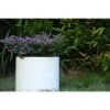 Rosemead Home & Garden, Inc. 10" Wide Kante Lightweight Modern Concrete Outdoor Planter Pot Pure White -Home Improvement Store GUEST e6a895ec ffd2 498f ab32 bab782e7aa2e