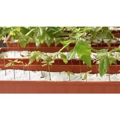 GROW!T Super Coarse #2 Perlite For Hydroponic Greenhouses Gardens Potting Soil 4 Cubic Feet 8 GROW!T Super Coarse #2 Perlite For Hydroponic Greenhouses Gardens Potting Soil 4 Cubic Feet -Home Improvement Store GUEST e7241291 8be5 4783 bedc cc66ec1d9c01