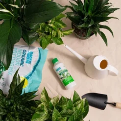 Back To The Roots All Purpose Plant Food 1.5lb -Home Improvement Store GUEST e816c4fe 78a7 4e47 84aa 4748f370b05b