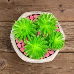 Garden Stones-200 Count Glow In The Dark Solar Pathway Pebble Lights-Decorative Glowing Rocks By Nature Spring (Yellow) -Home Improvement Store GUEST ed515e46 410a 491d 83f8 011afd8b59c6