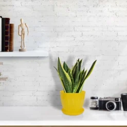 Unique Bargains Plastic Petal Shaped Home Garden Plant Planter Flower Pot With Tray 6"x5"x4.13" 1 Pc -Home Improvement Store GUEST f4196589 b181 48c6 9ea0 583f02b1d3c5