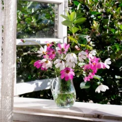 Back To The Roots 5pk Organic USA Flower Seeds -Home Improvement Store GUEST f4347ac0 4180 4cf1 b5e5 4b29a72da013