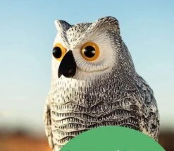 BIRD BLINDER 10.5" Plastic Owls To Scare Birds Away -Home Improvement Store GUEST f440b5c6 133e 472d 952b 2bbd0629efbe