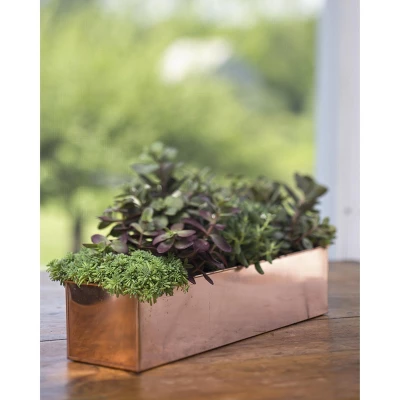 Gardener's Supply Company Tall Rectangular Copper Plant Tray | 18" X 5" X 4" For Plant Flower Succulent Display 4 Gardener's Supply Company Tall Rectangular Copper Plant Tray | 18" X 5" X 4" For Plant Flower Succulent Display - Image 2