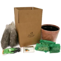 Van Zyverden 40ct Bulbs Multicolored Harmony Spring Blooming Patio Planter Set -Home Improvement Store GUEST f5286d19 e5c2 44ef b99c fcf48c3597ac