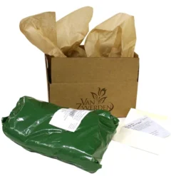 Bearded Iris Best Bet Set Of 3 Roots - White/Purple - Van Zyverden -Home Improvement Store GUEST fe65e436 1b87 466a 8cec 9f36f0be3a95