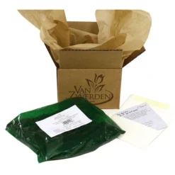 5ct Astilbe Top Choice Cake Mixture Bulbs - Van Zyverden -Home Improvement Store GUEST ff98bf5b db7e 4a15 a709 85d35c46c7f6